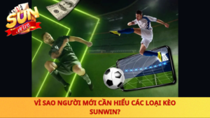 Vi Sao Nguoi Moi Can Hieu Cac Loai Keo Sunwin