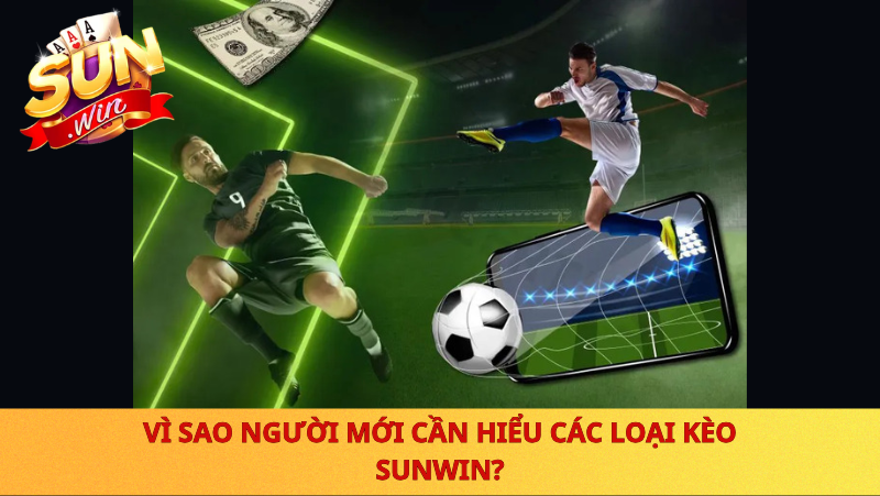 Vi Sao Nguoi Moi Can Hieu Cac Loai Keo Sunwin